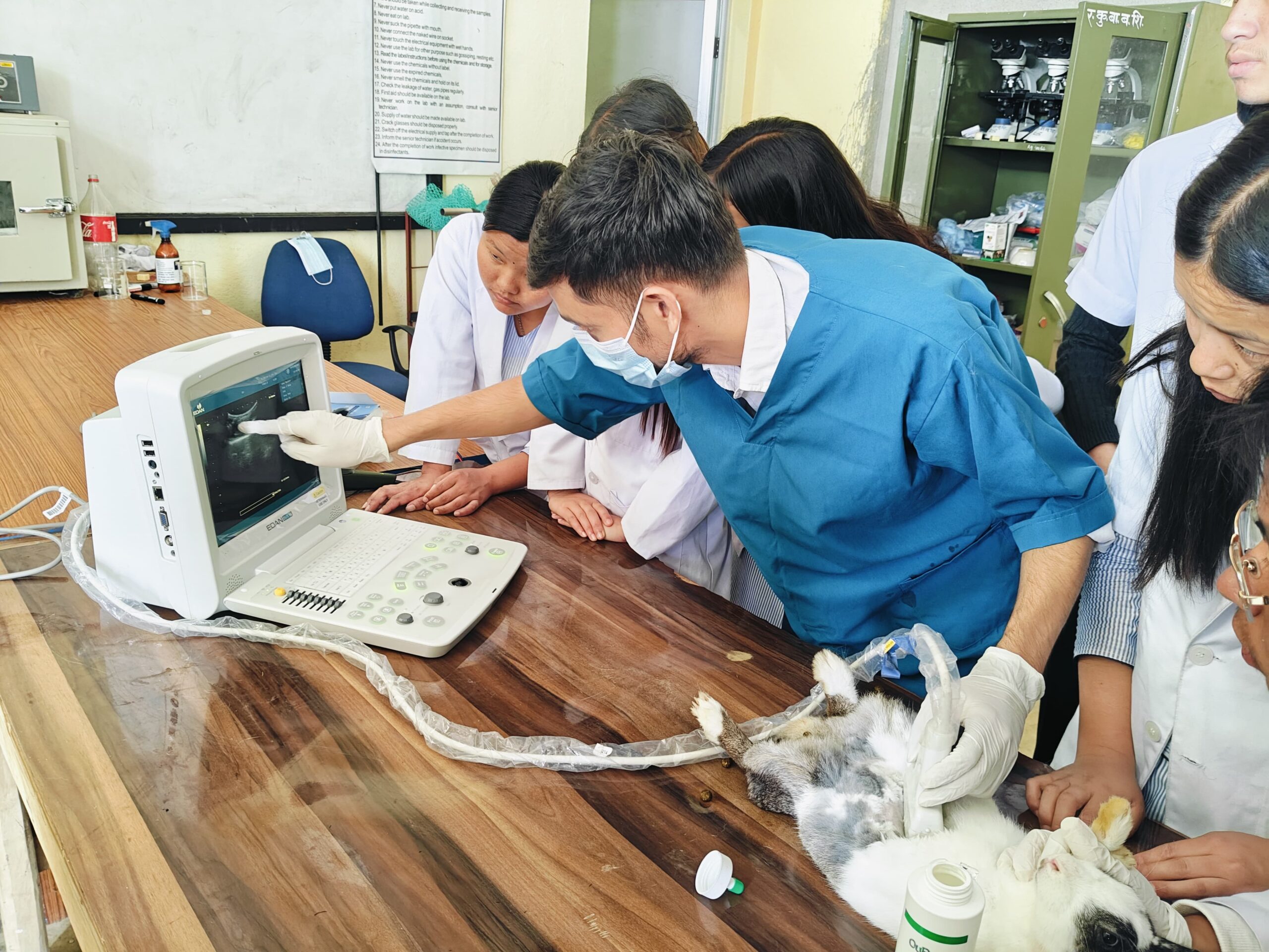 Diploma in Animal Science